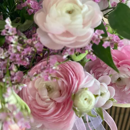 Vicolo Fabbri Appartamento Montefalco